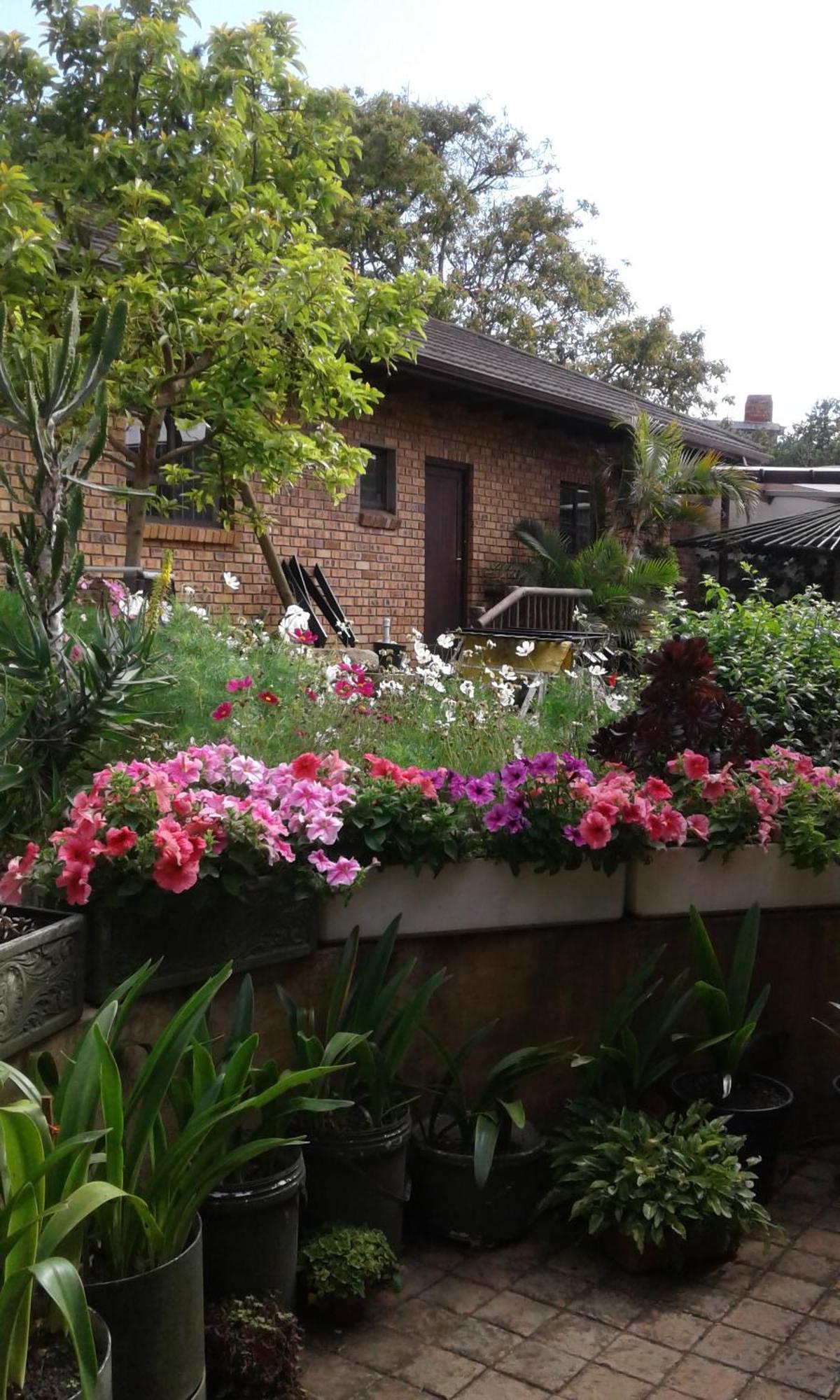 צ'ינטסה Marlin Cottage חדר תמונה